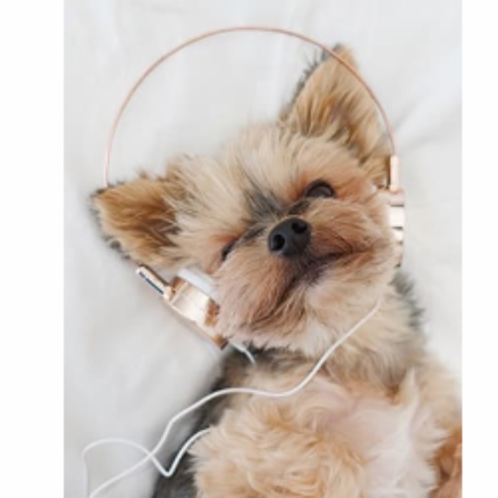 Rose colored mini headphones